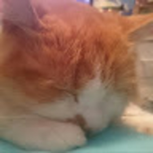 Meet your Posher, Ashley - Picture 1 of 1